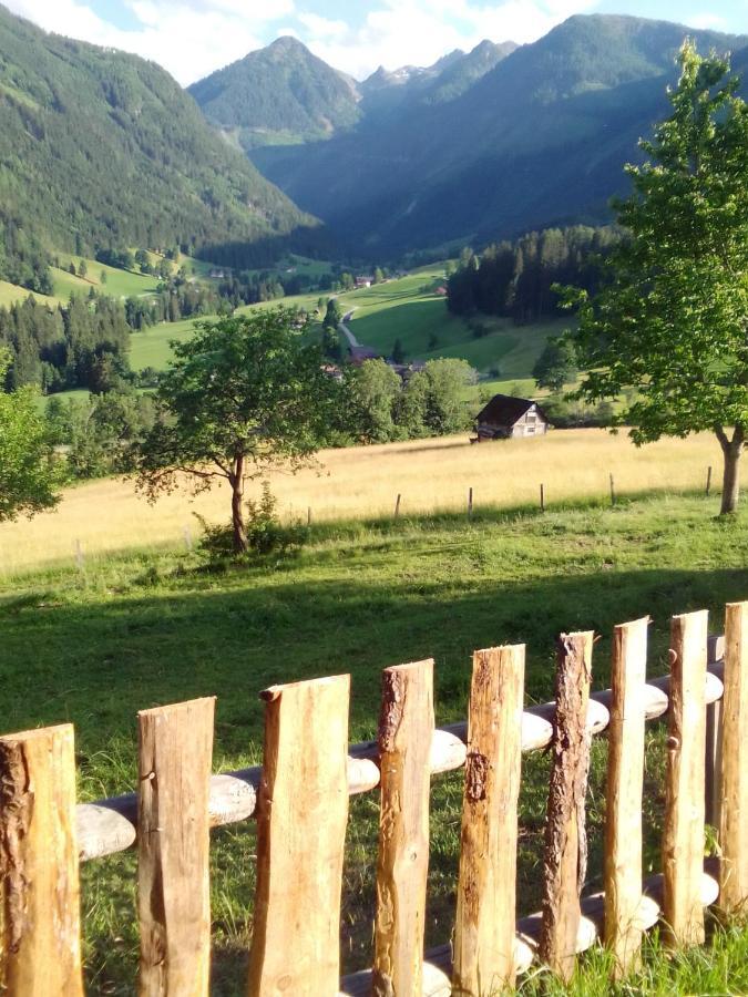 Pension Stammerhof Schladming Exteriör bild