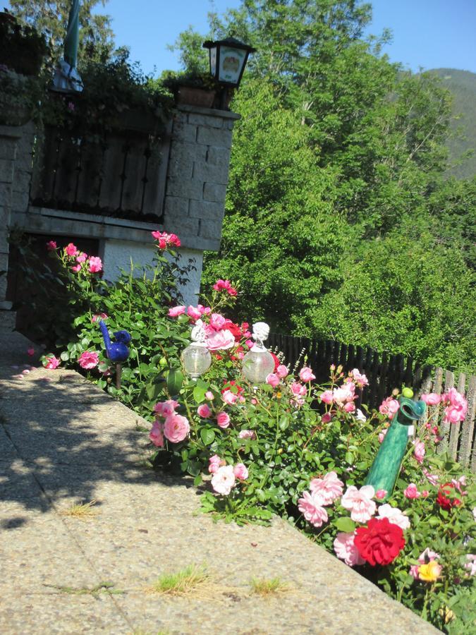 Pension Stammerhof Schladming Exteriör bild