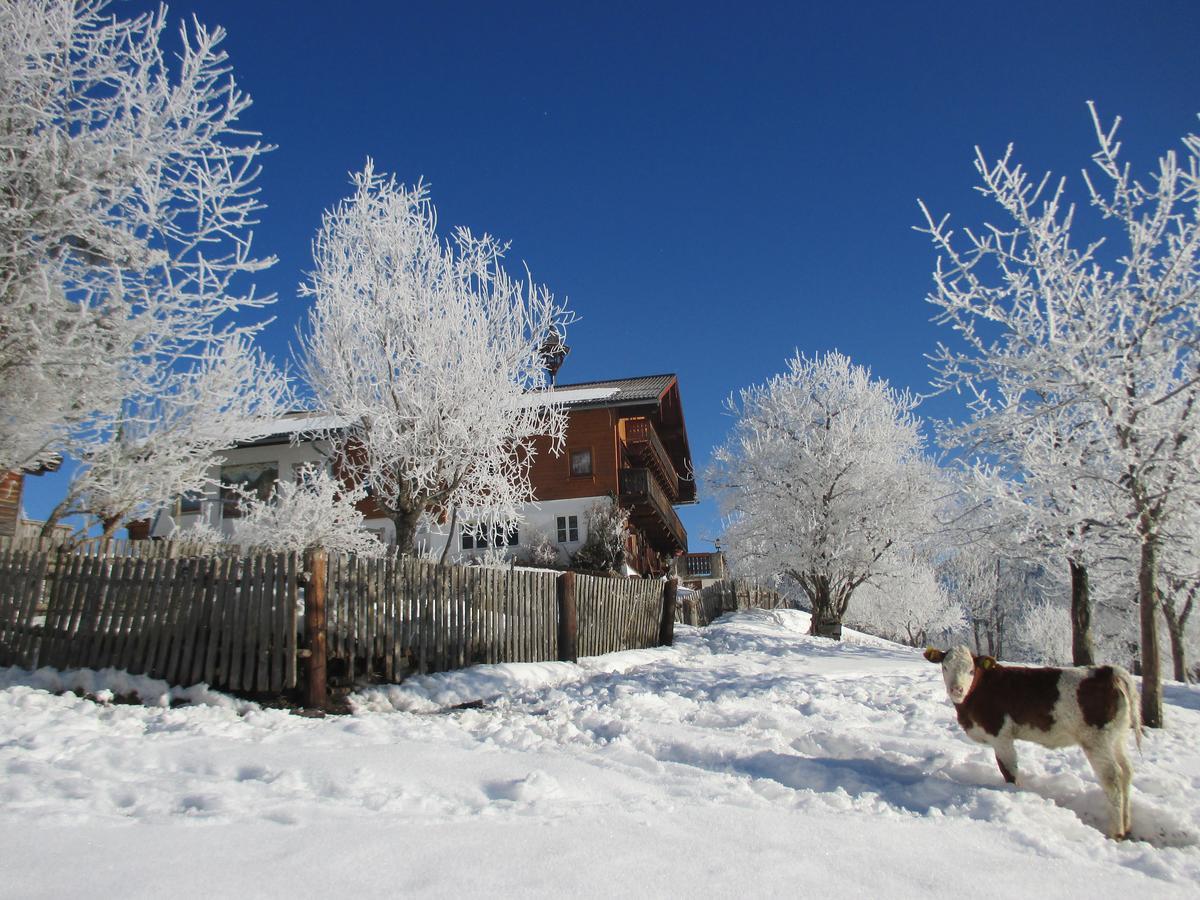 Pension Stammerhof Schladming Exteriör bild